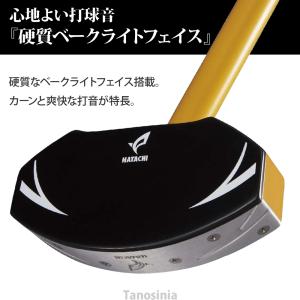グランドゴルフセット 初心者 入門 エントリー...の詳細画像1
