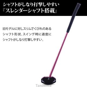 グランドゴルフセット 初心者 入門 エントリー...の詳細画像2