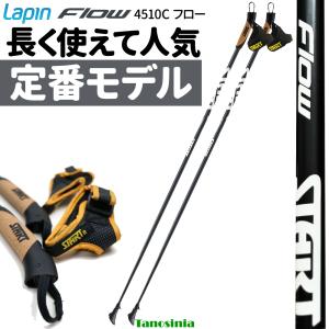 ノルディックウォーキング ポール ウォーキングポール しなり少 グラス