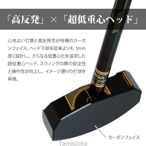 グラウンドゴルフセット 3点セット(クラブ・ボ...の詳細画像1