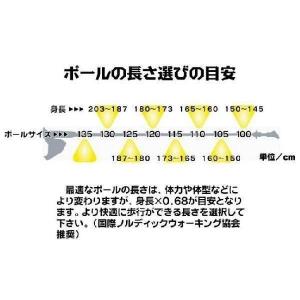 ウォーキングポール アルミ 軽量 男女兼用 細...の詳細画像5