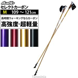 LEKI（レキ） 送料無料 ノルディック ウォーキングポール スピン