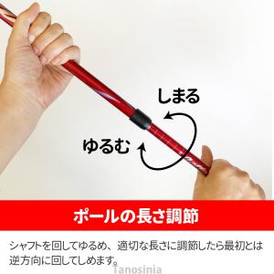 伸縮 ロング ウォーキングポール 男性向けノル...の詳細画像2