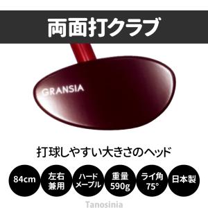 グラウンドゴルフ用品 用具 道具 グラウンドゴ...の詳細画像1