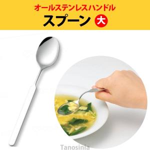 オールステンレスハンドル N-1 スプーン大 (A-スプーン単体) 介護用品 食器 自助具 さじ ユニバーサル スプーン 食べやすい グリップ 曲がる｜tanosinia