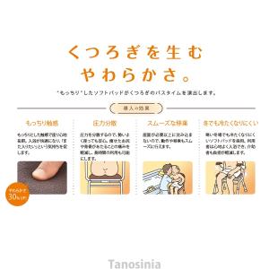 介護 風呂 椅子 いす イス お風呂 シャワー...の詳細画像2