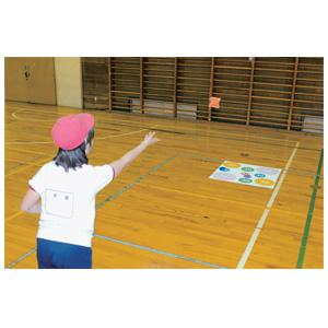 ターゲットプレイシート B-3597 介護用品 屋内用 トーエイライト レクリェーション 遊び ゲー...