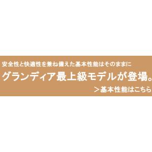 OGK GRANDIAPLUS RBC-017...の詳細画像2