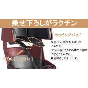 OGK GRANDIAPLUS RBC-017...の詳細画像3