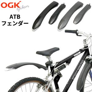 SCHWALBE（シュワルベ） TIRE BOOSTER タイヤブースター チューブレス