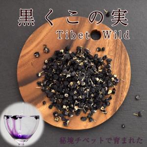 チベット冬虫夏草 粉末（コウモリガ幼虫寄生菌） 30g たんぽぽ本舗
