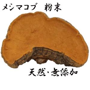 発酵霊芝粉末タイプ50g 霊芝 サルノコシカケ レイシ : たんぽぽ本舗