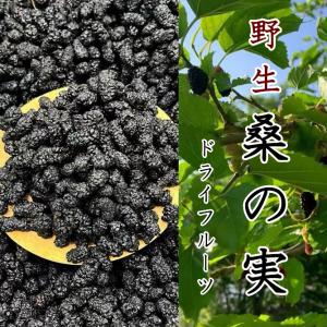 桑の実（乾燥）100g ドライフルーツ マルベリー 野生 たんぽぽ本舗の商品画像