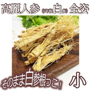 6年根長白山白参 100g(約20本) 高麗人参 野生環境露地栽培 朝鮮人参オタネニンジン 薬膳酒 高麗人参酒｜たんぽぽ本舗