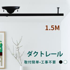 大光電機 スライドタイプ 簡易取付式ダクトレール 1mタイプ 黒