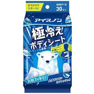 アイスノン 極冷えボディシート