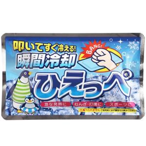 メール便 送料無料 あすつく 瞬間冷却パック ひえっぺ（角型）保冷剤 ネッククーラー よりもオススメ｜tansera-shop