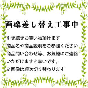 あすつく 送料無料 ファンケルFANCL マイルドクレンジング オイル 120mL ×2本セット