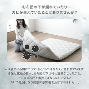 本日+5% 除湿シート シングル 2枚組 シリ...の詳細画像2