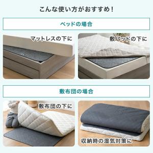 本日+5% 除湿シート シングル 2枚組 シリ...の詳細画像4