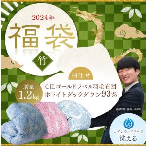 福袋2024 柄任せ 羽毛布団 シングル ロング 増量1.2kg 日本製 ホワイト ダック ダウン93％ 400dp以上 ゴールドラベル 羽毛 布団