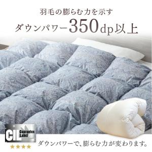 羽毛布団 シングル ロング 洗える 掛け布団 ...の詳細画像5