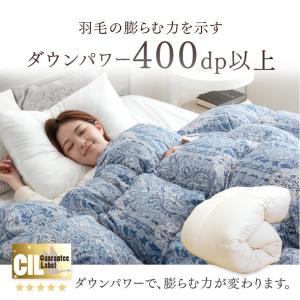 羽毛布団 シングル ロング 掛け布団 洗える ...の詳細画像4