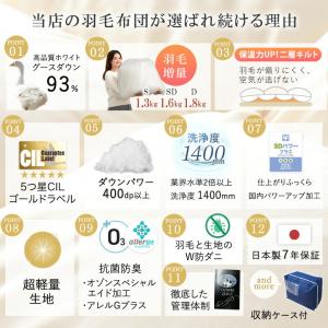 17日+5% 羽毛布団 ダブル グース 掛け布...の詳細画像1