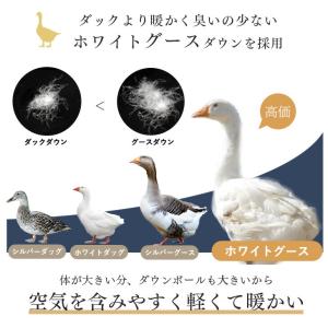 17日+5% 羽毛布団 ダブル グース 掛け布...の詳細画像3