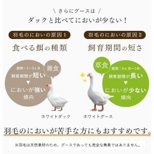 17日+5% 羽毛布団 ダブル グース 掛け布...の詳細画像4