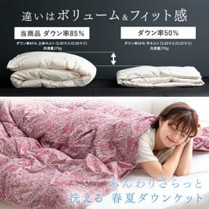 25日+5% ダウンケット シングル 羽毛布団...の詳細画像1