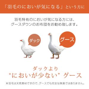ダウンケット ダブル 羽毛布団 夏用 ポーラン...の詳細画像3