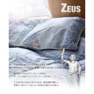 ダウンケット ダブル 羽毛布団 夏用 ポーラン...の詳細画像4