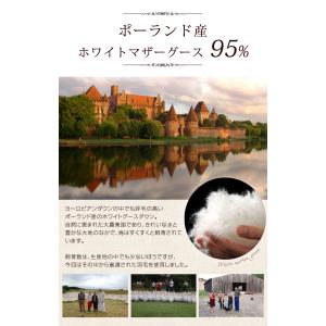 ダウンケット ダブル 羽毛布団 夏用 ポーラン...の詳細画像5