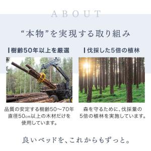 本日+5% ベッド セミダブル すのこベッド ...の詳細画像3