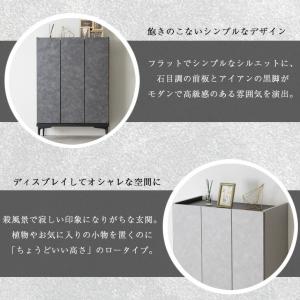 本日+4% 靴箱 収納 シューズボックス 玄関...の詳細画像2