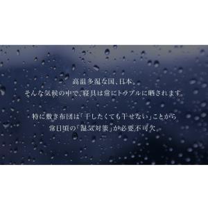 すのこ すのこベッド シングル すのこマット ...の詳細画像3