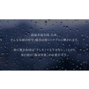 本日+5% すのこベッド シングル すのこマッ...の詳細画像3