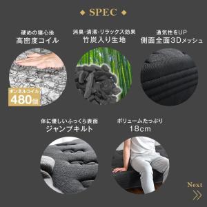 本日+5% 脚付マットレス セミダブル ベッド...の詳細画像2
