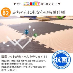 10日+5% ジョイントマット 厚手 2cm ...の詳細画像5