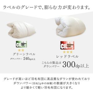 25日+5% 羽毛布団 シングル ロング 洗え...の詳細画像5