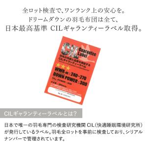 25日+5% 羽毛布団 シングル ロング 洗え...の詳細画像2