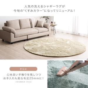 1日+5% ラグ カーペット ラグマット シャ...の詳細画像1