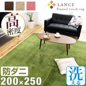 ラグ ラグマット 洗える 3畳 秋冬 200×250 カーぺット 防ダニ 長方形 リビングマット ホットカーペット対応 オールシーズン ウォッシャブル