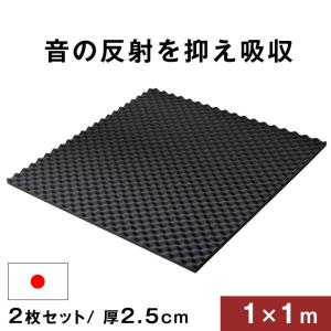 防音シート 吸音シート 2枚セット 1×1m 厚み 25mm 壁 貼る 波型 日本製 難燃 吸音 防音 壁面 スタジオ