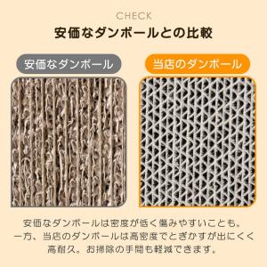 本日+4% 猫ハウス キャットハウス 猫 爪と...の詳細画像3