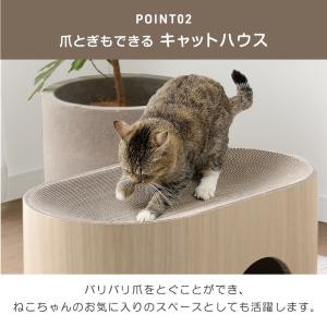 本日+4% 猫ハウス キャットハウス 猫 爪と...の詳細画像4