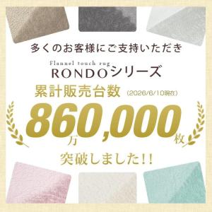 本日+4% ラグ 洗える 1.5畳 カーペット...の詳細画像2