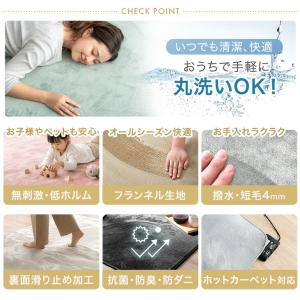 ラグ 2畳 カーペット ラグマット 洗える 北...の詳細画像1
