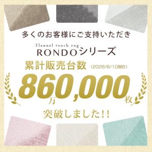 ラグ 2畳 カーペット ラグマット 洗える 北...の詳細画像2